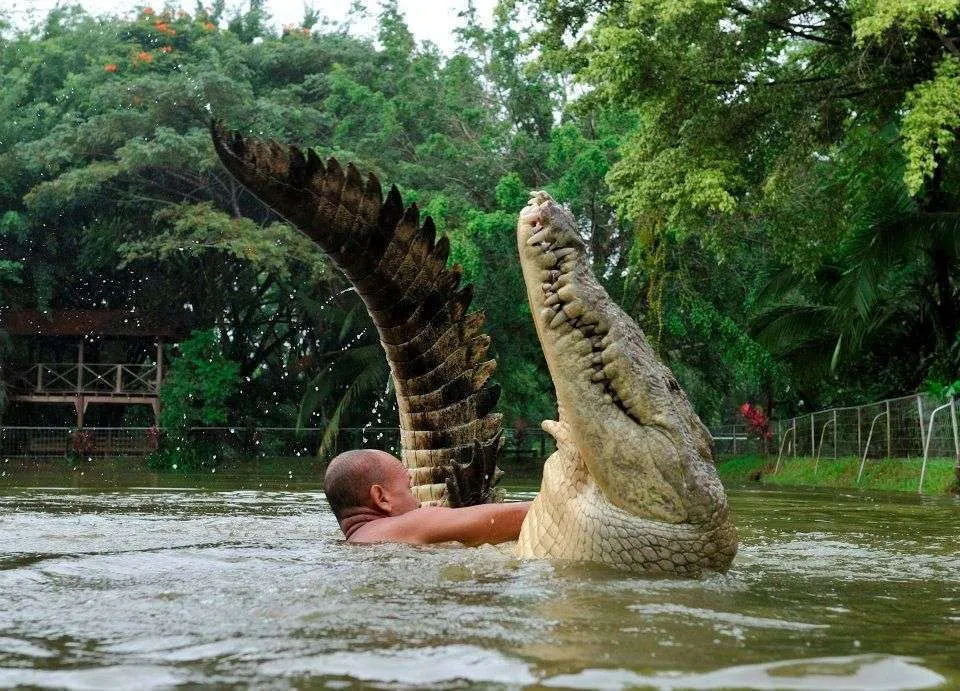 Costa-Rican-Chito and pocho-performs-in-a-lake-during-a-show-in-Siquirres