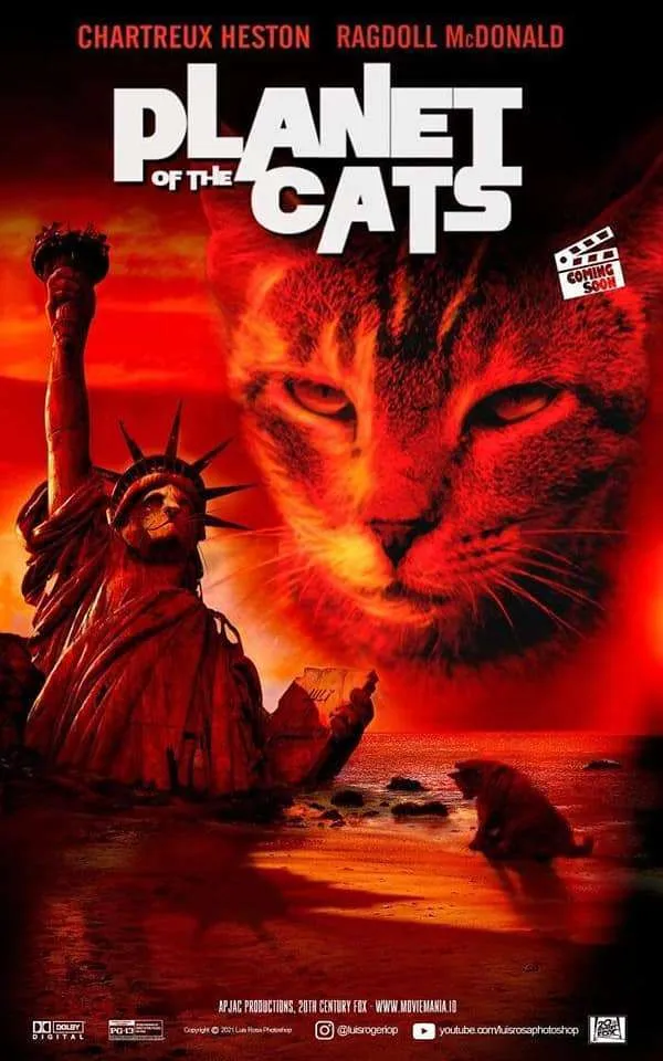 movie poster remakes with dogs cats