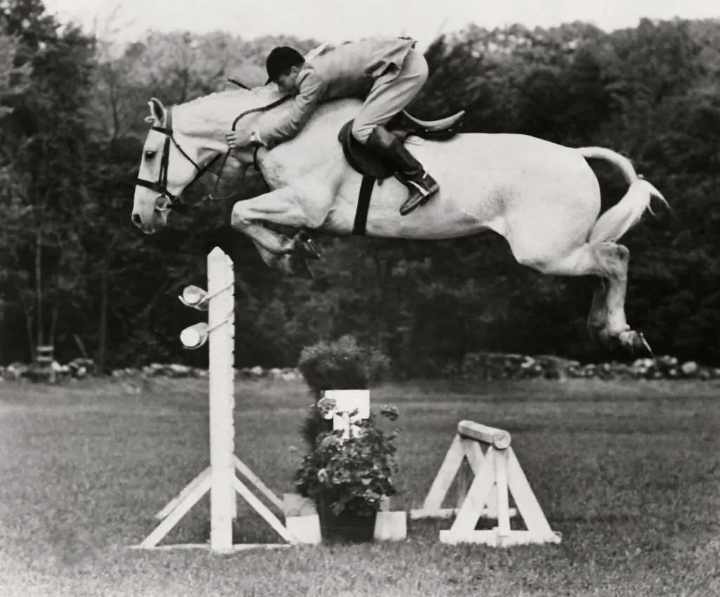 
Horse Trainer Harry deLeyer spent his last $80 to save a horse and made him a Legend
