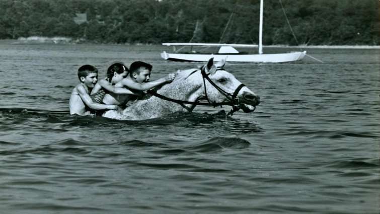 
Horse Trainer Harry deLeyer spent his last $80 to save a horse and made him a Legend
