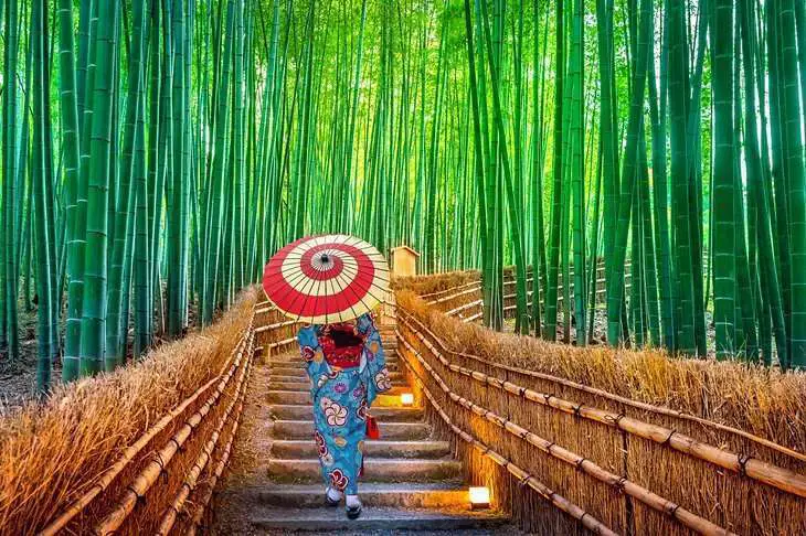 Best Japan Travel Places You Shouldn't Miss